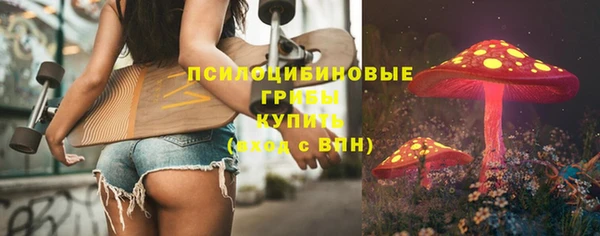 дживик Осташков
